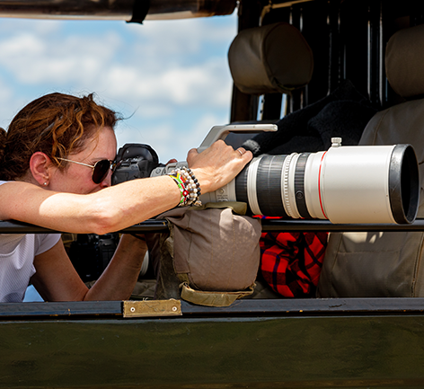 Ethical wildlife photography